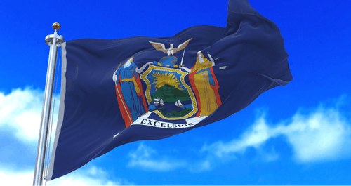 NYS Public Benefits